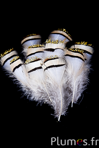 Perdrix avec paillettes dorées - 6-7 cm - naturel
